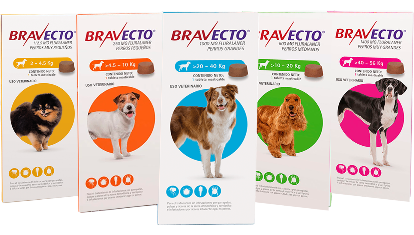 Bravecto® tableta masticable - MSD Salud Animal Perú